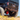 Best Jeep Wrangler JL rear bumper Savvy Krawler Lite rear bumper showing maximum departure angle on Jeep JLU, lightweight aluminum armor